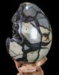 Septarian Dragon Egg Geode - Black Crystals #88160-2